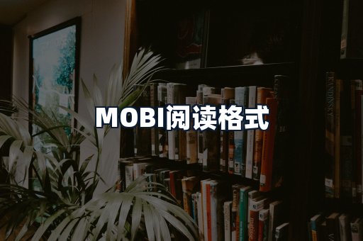MOBI阅读格式